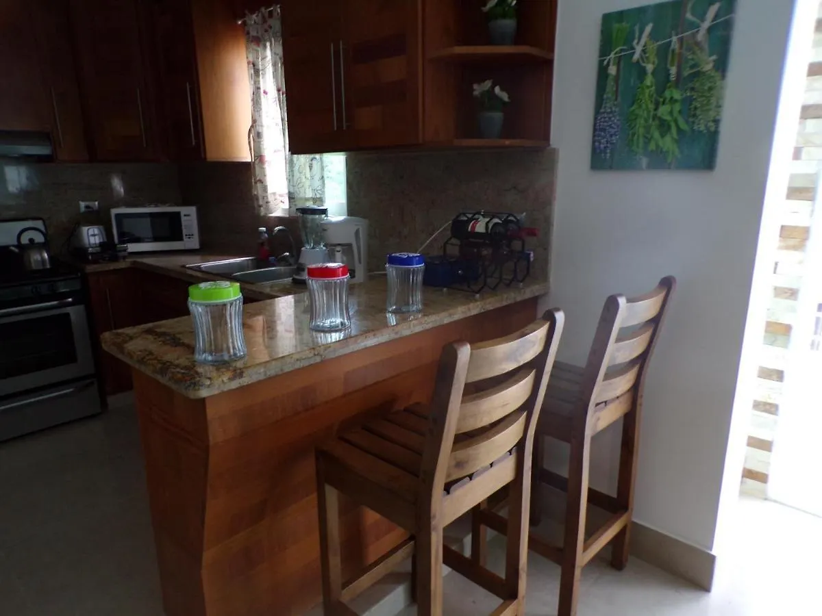 Luxury In The Caribbean Apartment Sosua